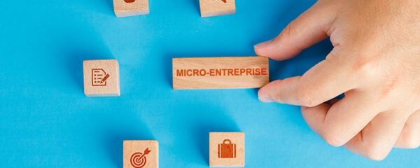 micro entreprise